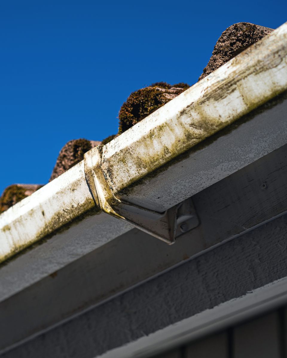 A stained, square-profile gutter on a fascia board, under mossy roof tiles.
