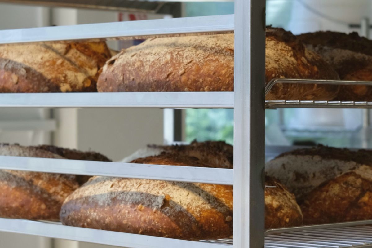 Dark-crusted sourdough loaves on the shelves of a steel bakery rack.