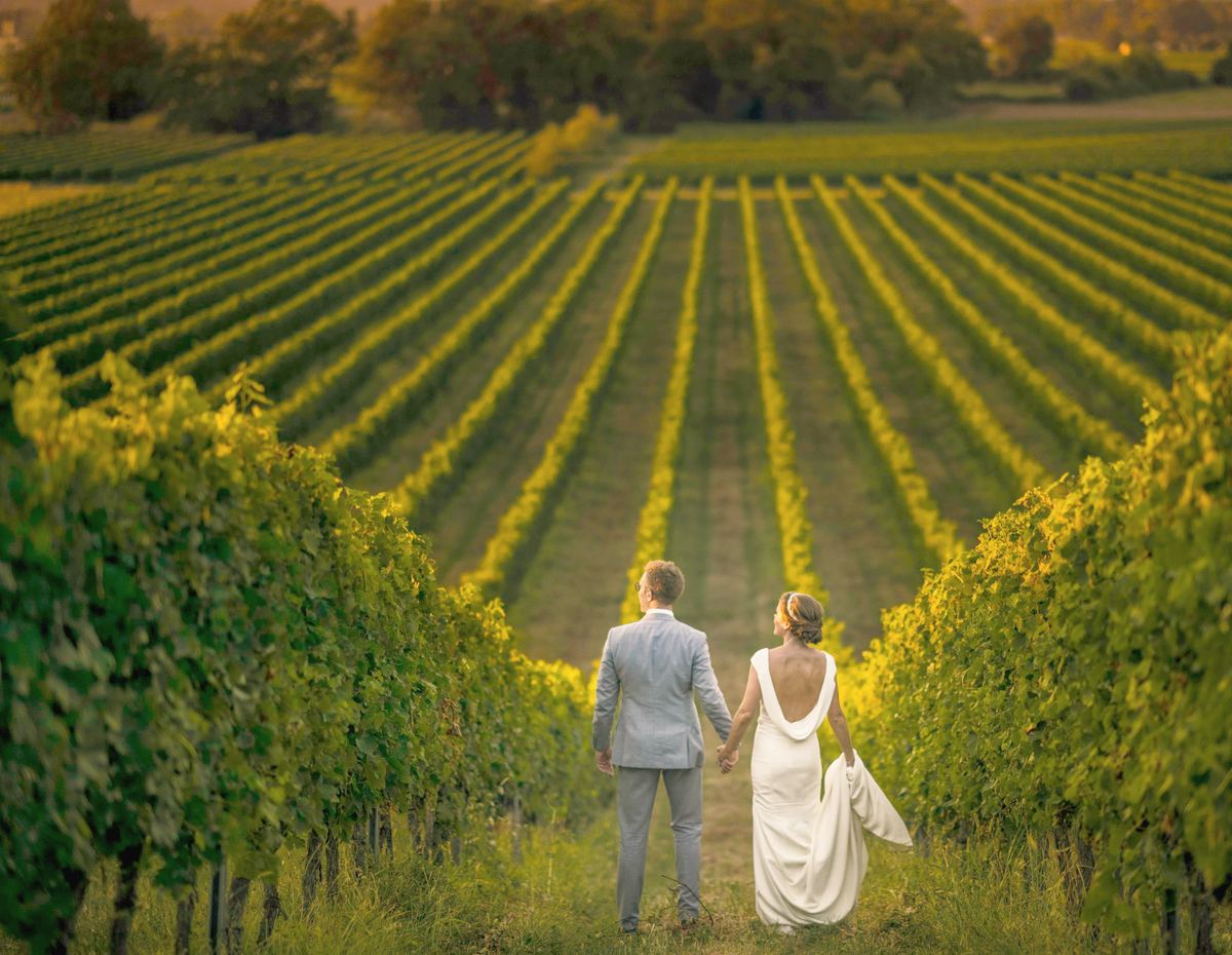 The couple walking hand in hand down the vineyard rows at sunset, her train trailing on the grass.